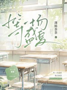等一场盛夏晋江