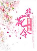簪花令短剧合集