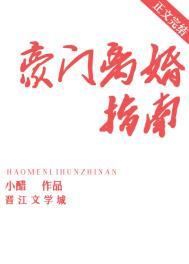 豪门式离婚简介