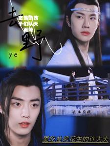 忘羡的孩子们从天而降21