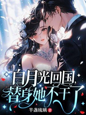 替身她不干了许南嫣