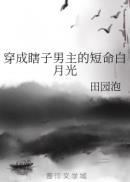 穿成瞎子男主的短命白月光作者田园泡