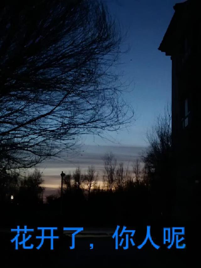 花开了人走了