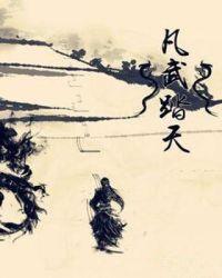 踏天武圣