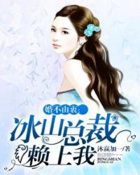 冰山总裁莫纠缠
