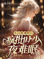 小白花的作品集