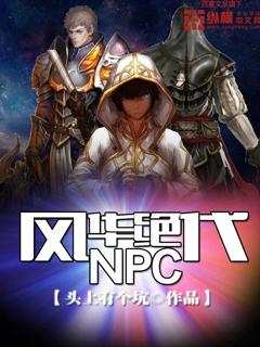 风华绝代NPC 聚合中文网