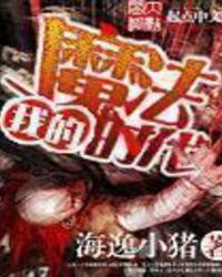 我的魔法时代TXT奇书网