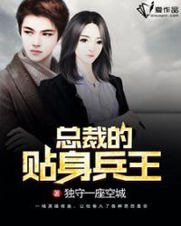美女总裁的贴身兵王萧晨