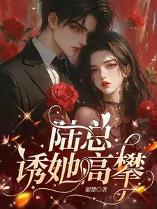 陆总超宠我