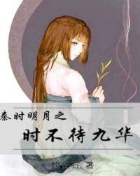 秦时明月之时不待九华什么意思