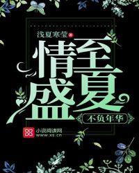 不负盛夏晚晴天