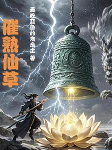 仙草煮多久