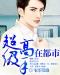 超级高手在都市叶辰老婆