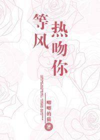 等风热吻你高能章节