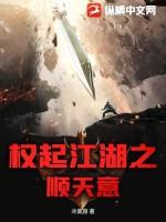 权起江湖之顺天意后续作品叫什么名字