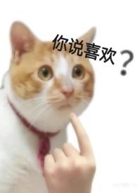 对不起我爱不起了知乎