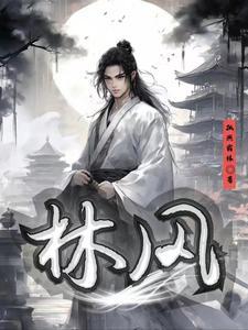 主角林风穿越