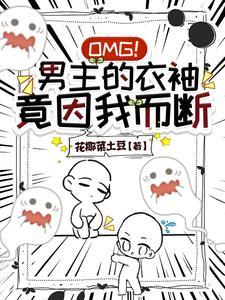我把男主弯了