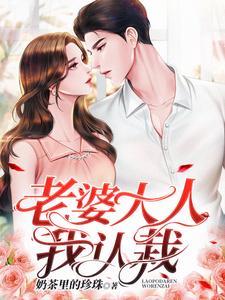 老婆大人非一般入坑指南