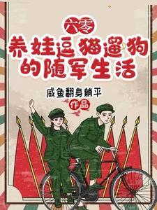 重生六七十年代随军文