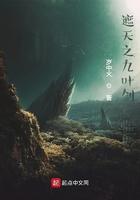 遮天之叶凡主攻