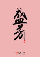盛芳镇