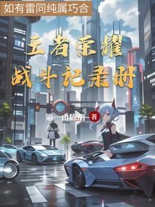 王者战绩记录