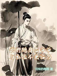 随身老爷爷是什么