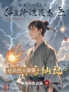 轻风的作品