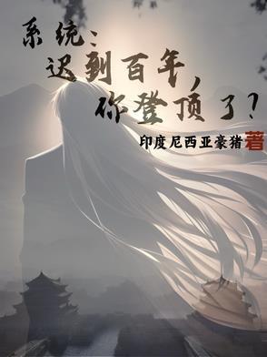 系统迟到百年你登顶了