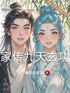 家传九天玄功凡人篇禁地