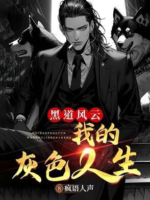 我的黑道风云二十年