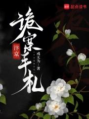 汴京刑狱手札
