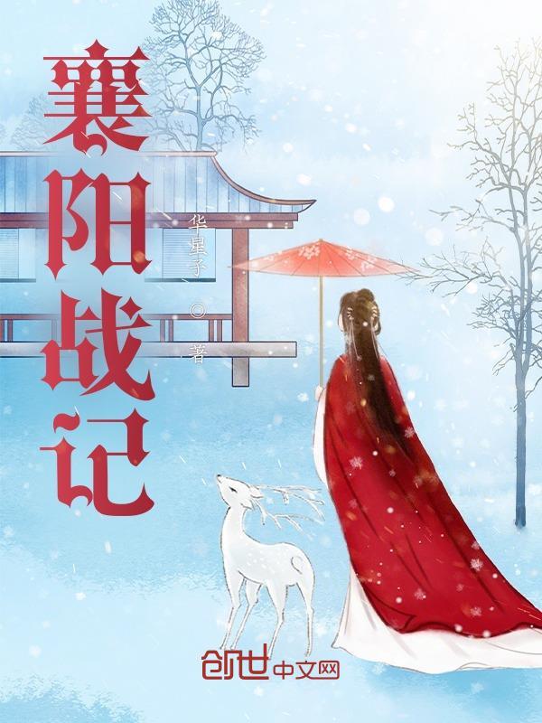 襄阳战记二十六