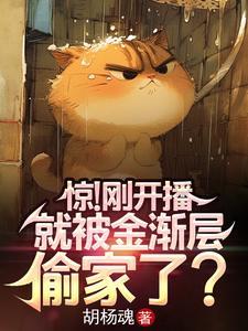 金渐层冷知识