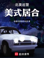 北美巡警美式居合TXT百度资源